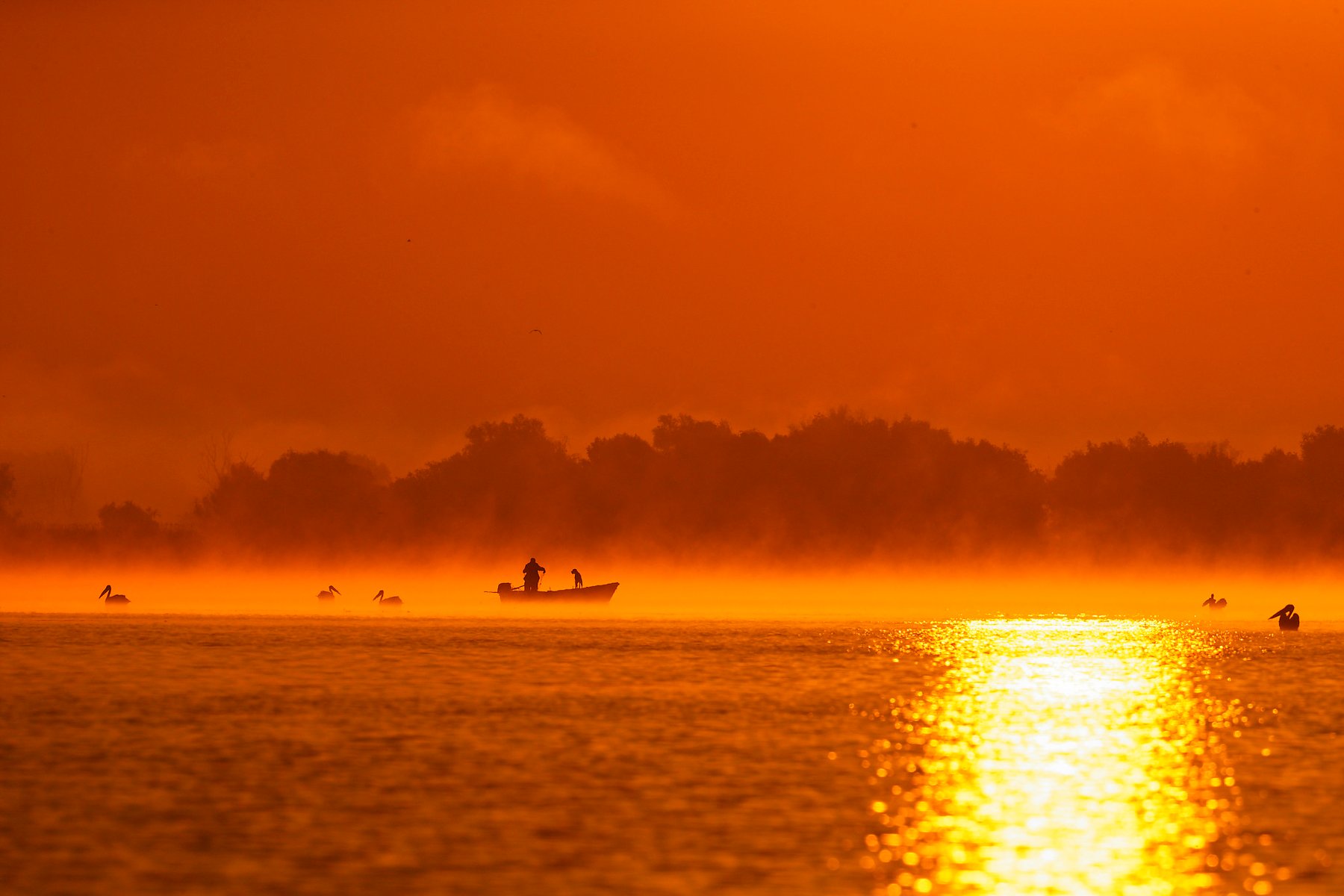 fishing-boat-morning-fog-danube-delta-romania